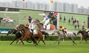 Giải Mã Kèo Cá Cược Đua Ngựa Vin777 Từ Trường Đua Quốc Tế